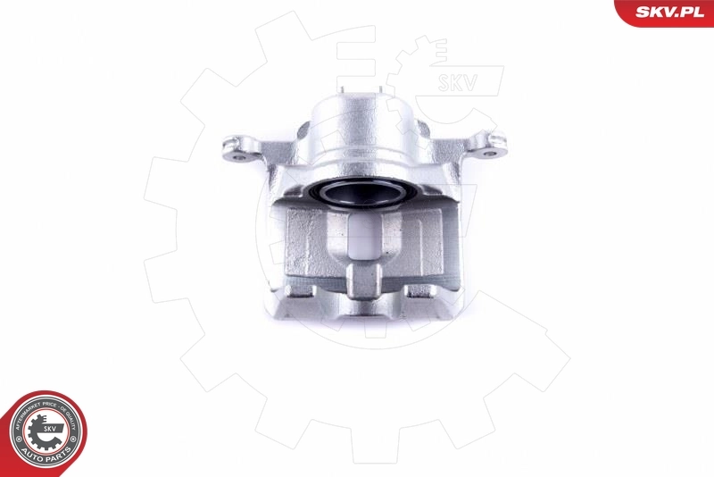 Brake Caliper 46SKV901
