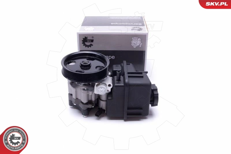 Hydraulic Pump, steering 10SKV307