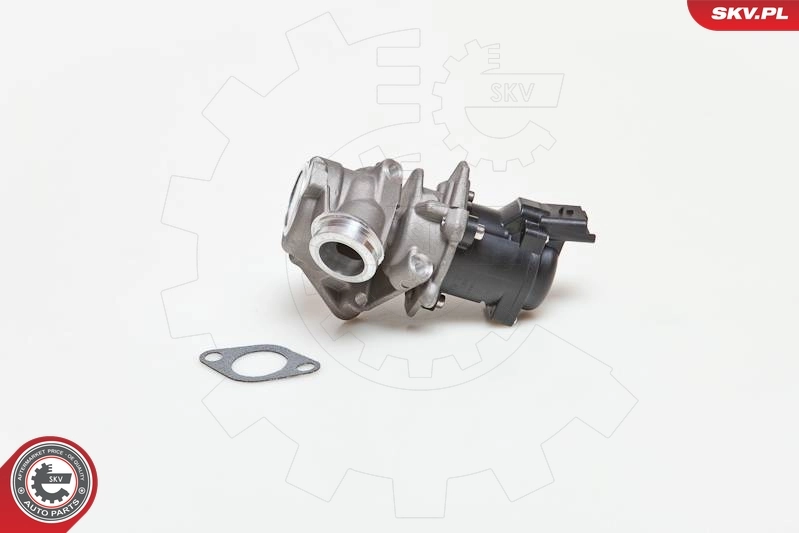 EGR Valve 14SKV027