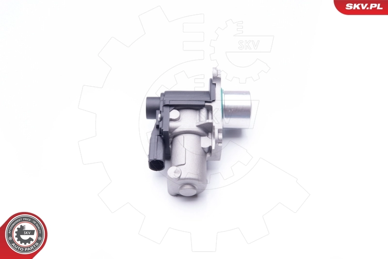 EGR Valve 14SKV170