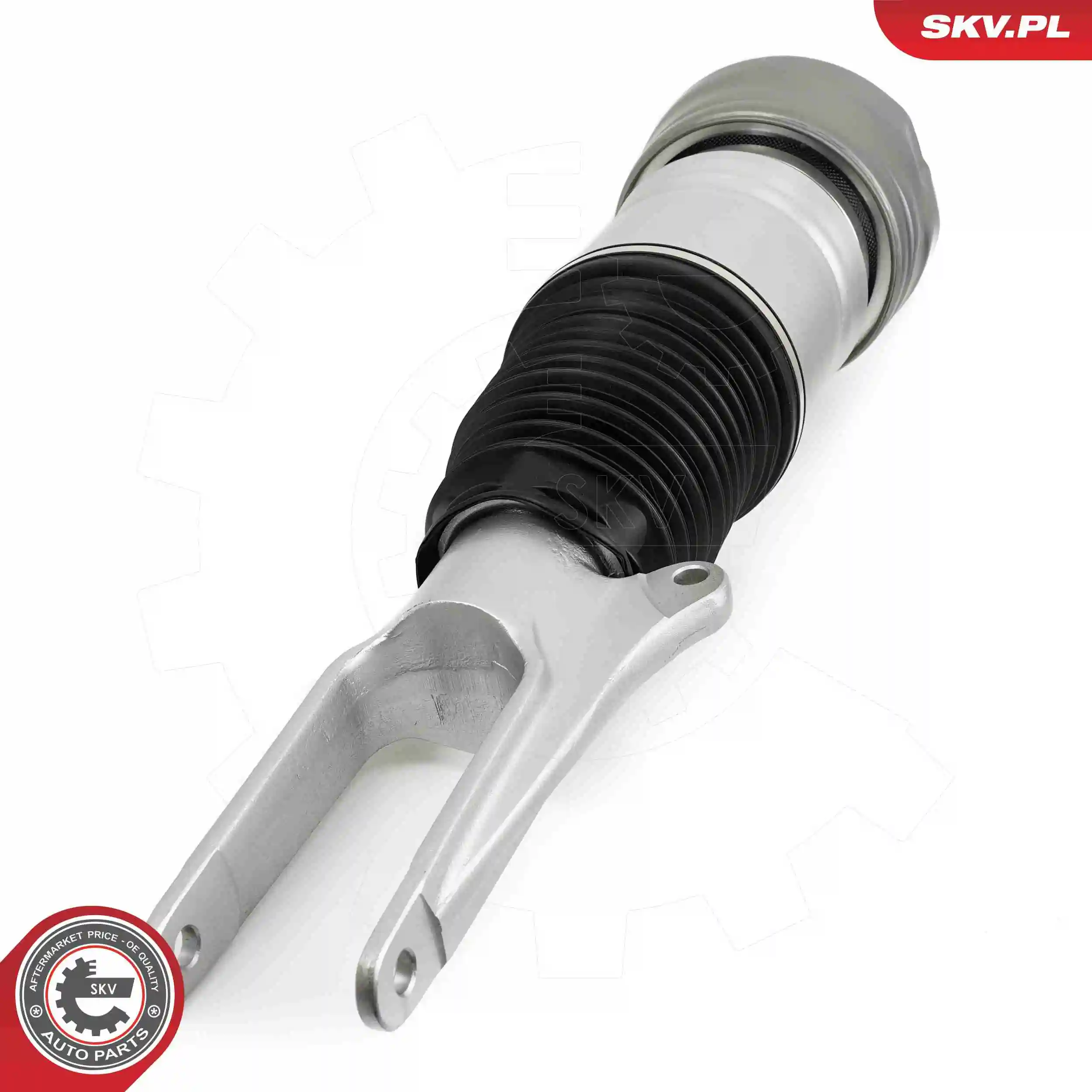 Air Suspension Strut 58SKV708