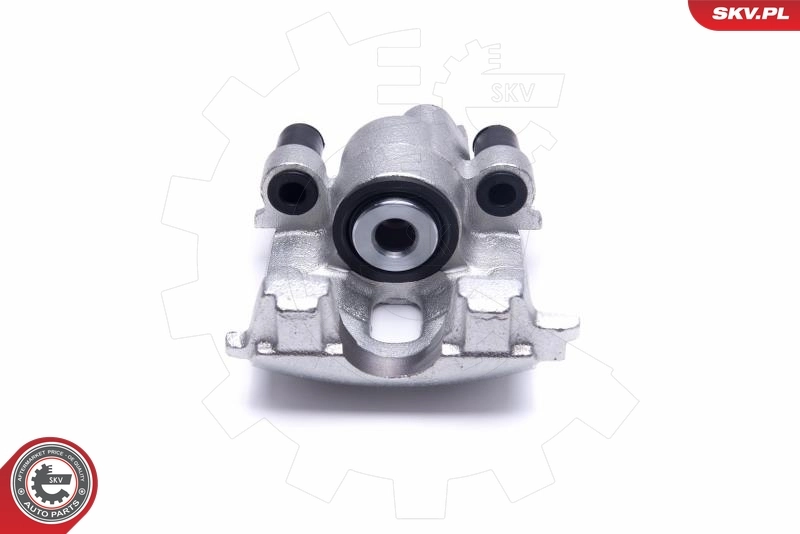 Brake Caliper 55SKV004