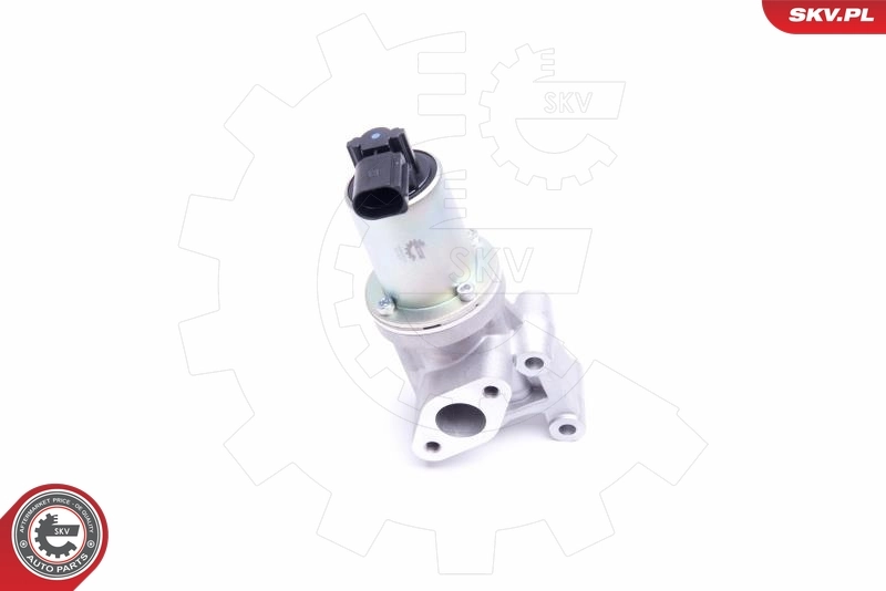 EGR Valve 14SKV213
