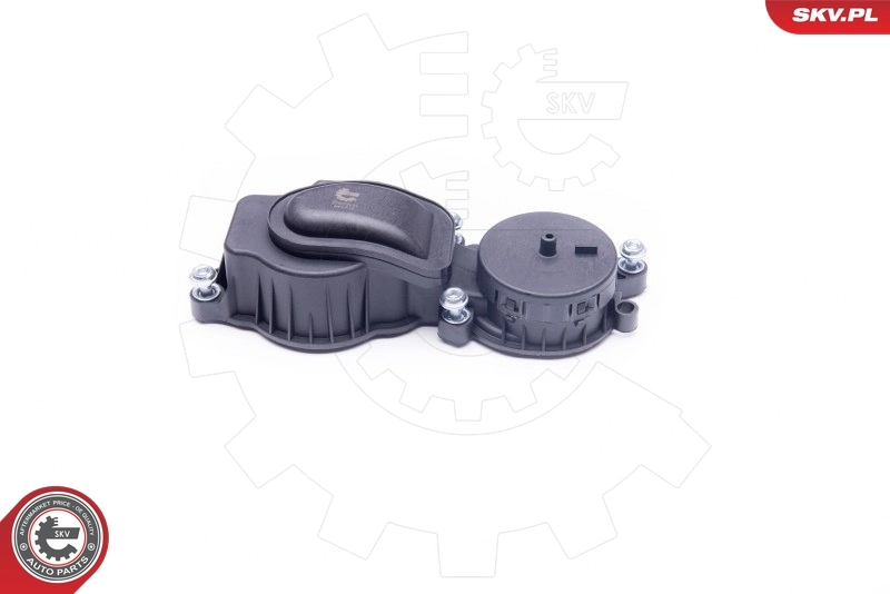 バルブ、クランクケースエア抜き 31SKV034