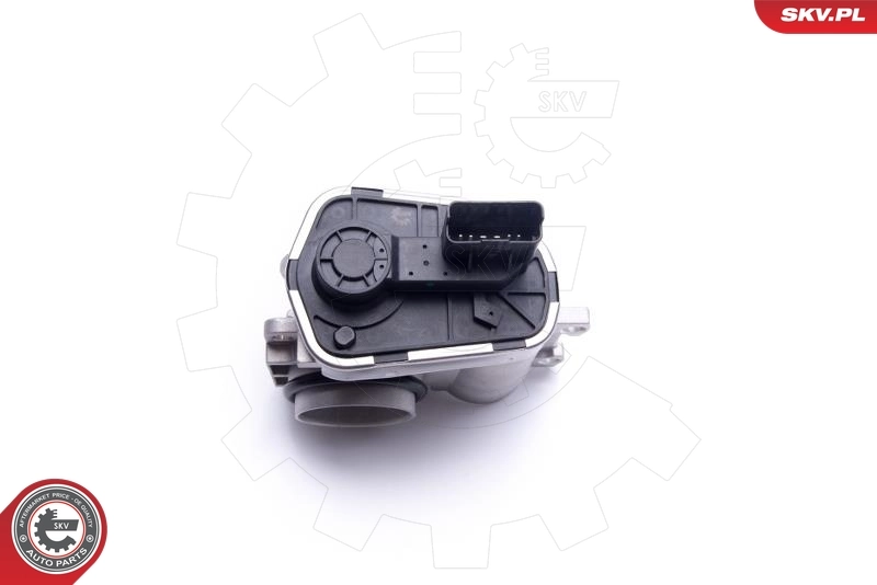 Throttle Body 12SKV102