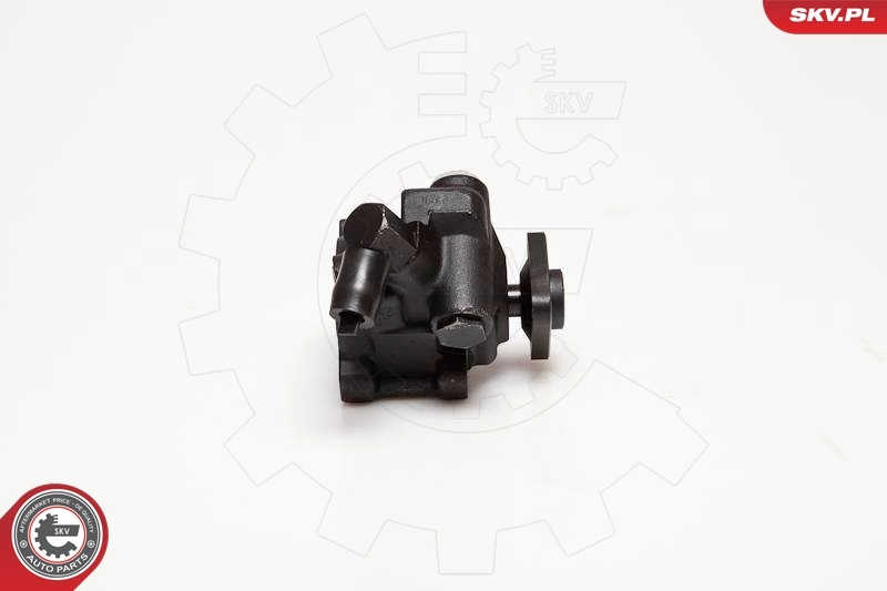 Hydraulic Pump, steering 10SKV056