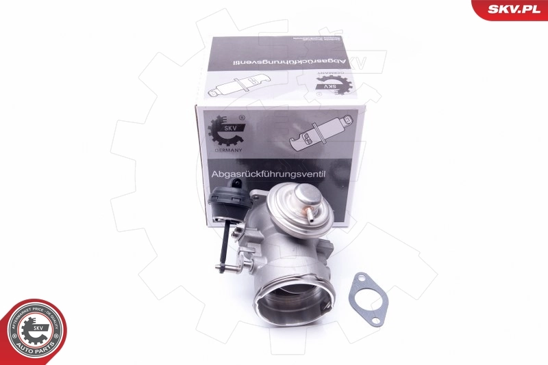 EGR Valve 14SKV091