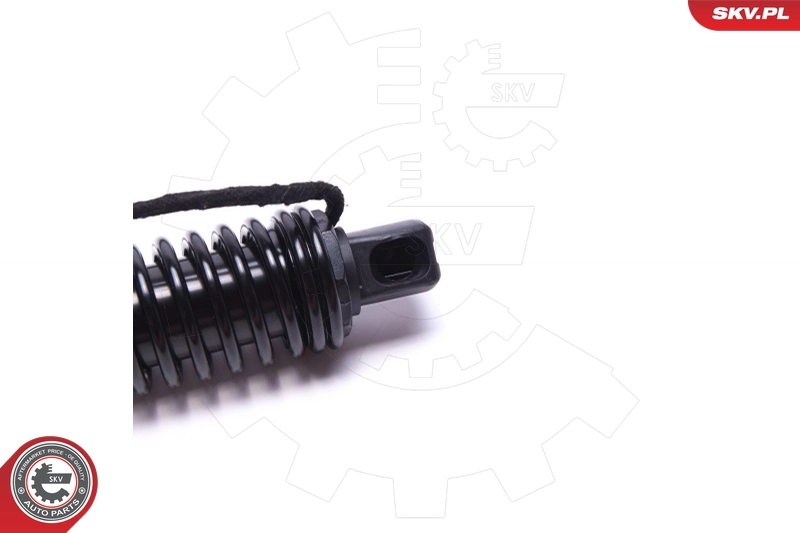 Electric Motor, tailgate 52SKV934