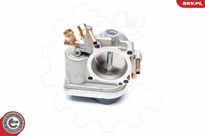 Throttle Body 12SKV049