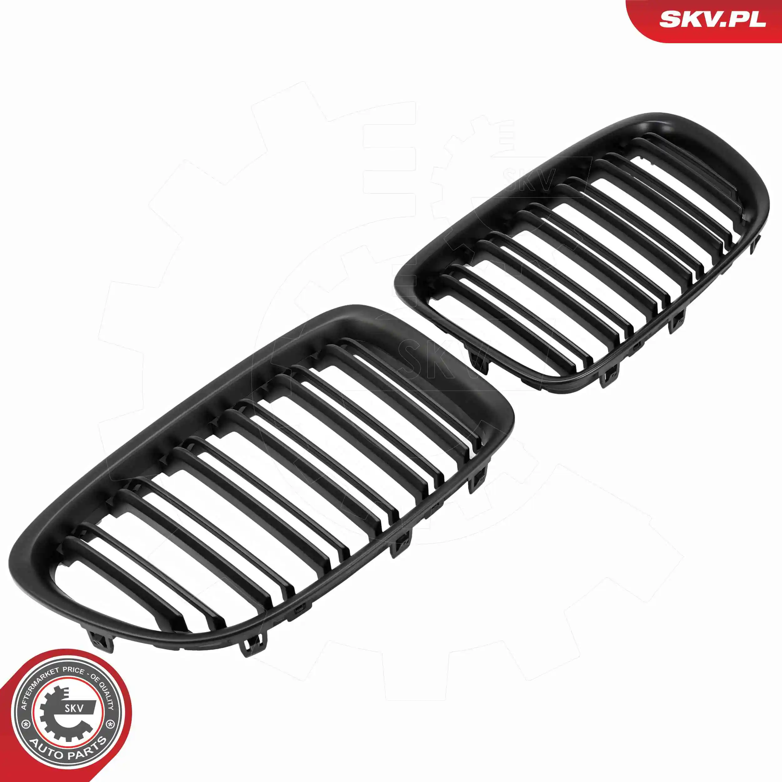 ESEN SKV 66SKV231 Radiator Grille
