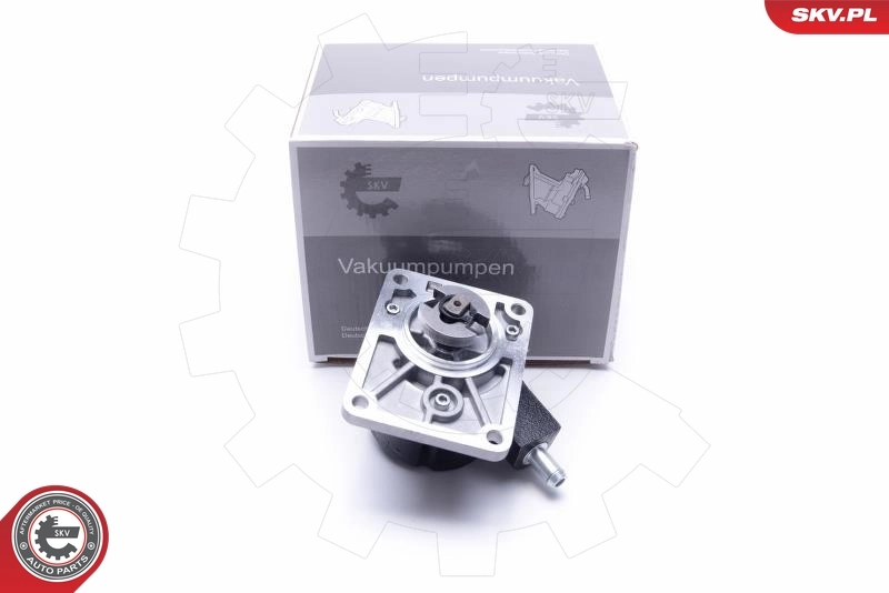 Vacuum Pump, braking system 18SKV027