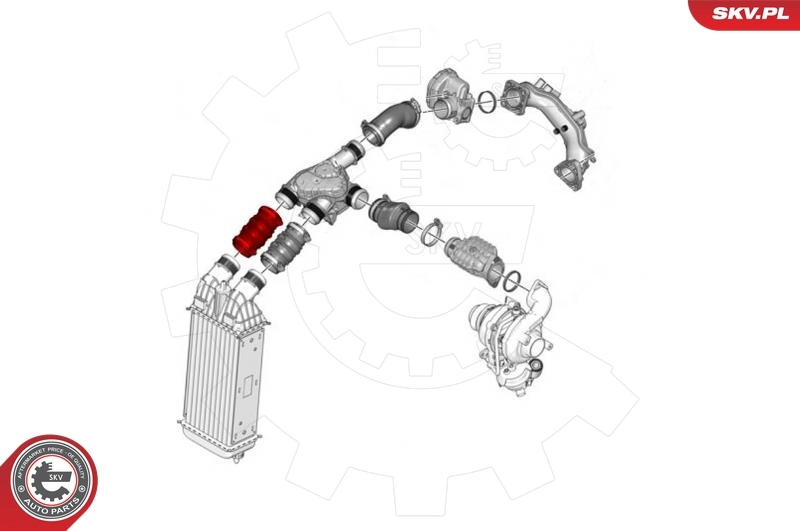 Charge Air Hose 43SKV242