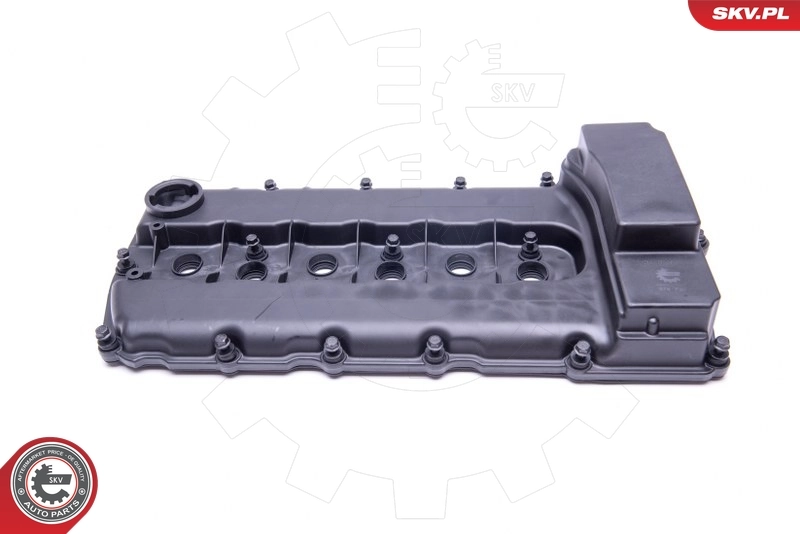 Cylinder Head Cover 48SKV021