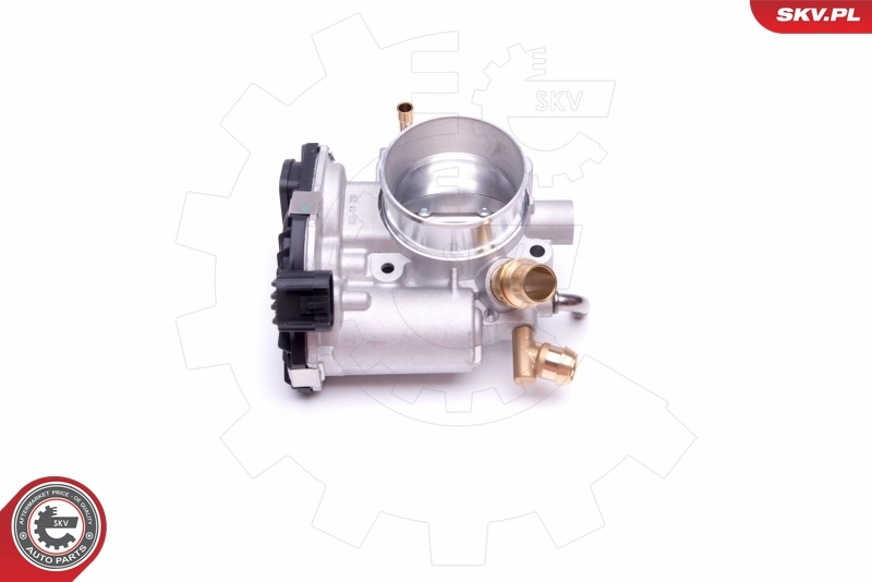Throttle Body 12SKV074