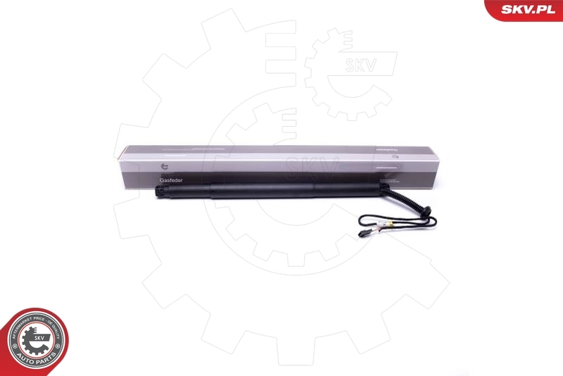 Electric Motor, tailgate 52SKV923