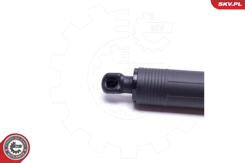 Electric Motor, tailgate 52SKV901