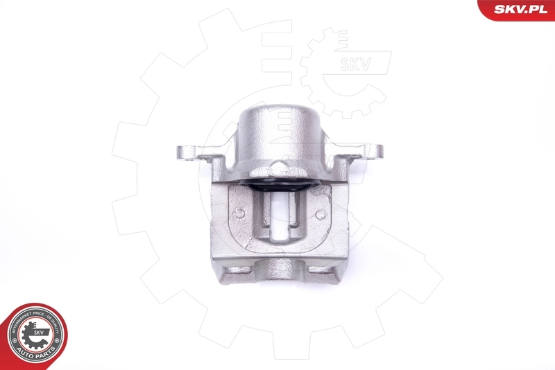 Brake Caliper 42SKV432