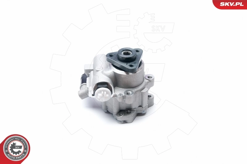 Hydraulic Pump, steering 10SKV224