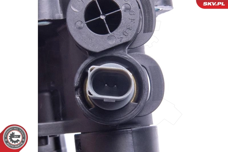 Thermostat, coolant 20SKV207