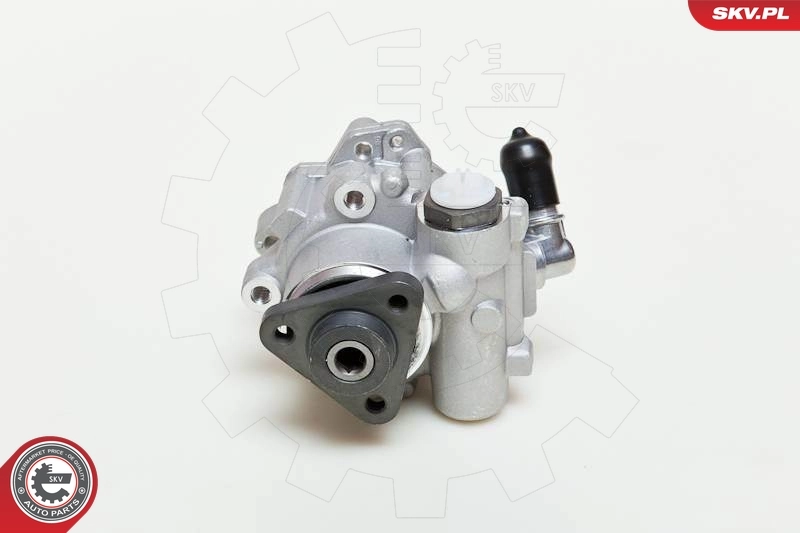 Hydraulic Pump, steering 10SKV049