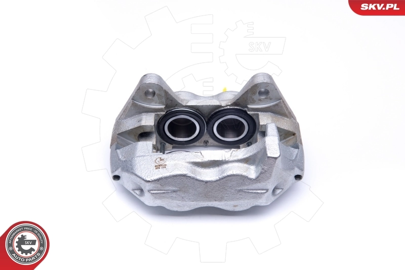 Brake Caliper 45SKV132