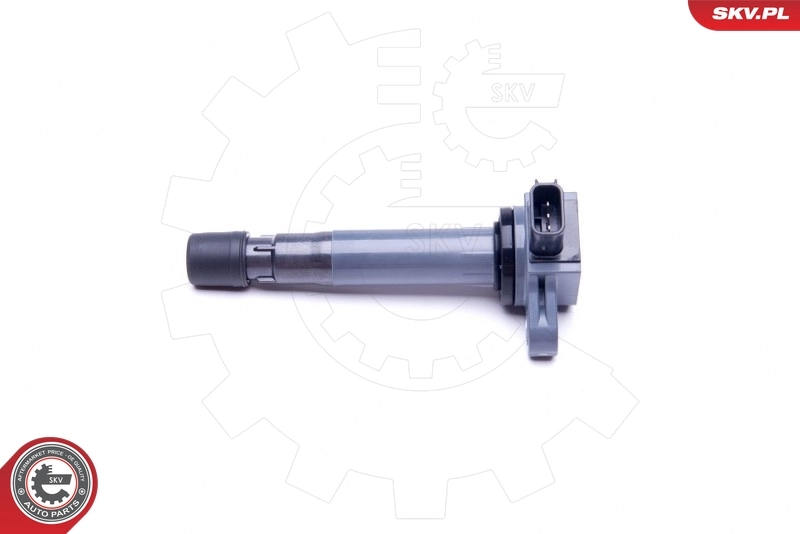 Ignition Coil 03SKV306