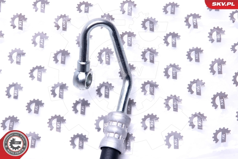 Hydraulic Hose, steering 10SKV812