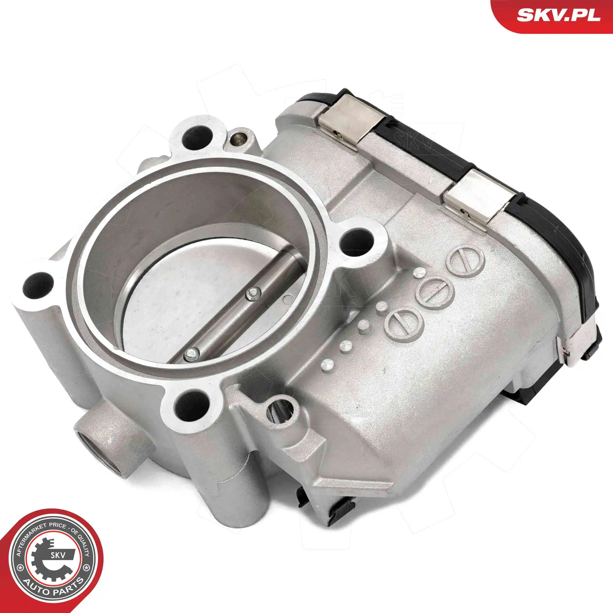 Throttle Body 12SKV141