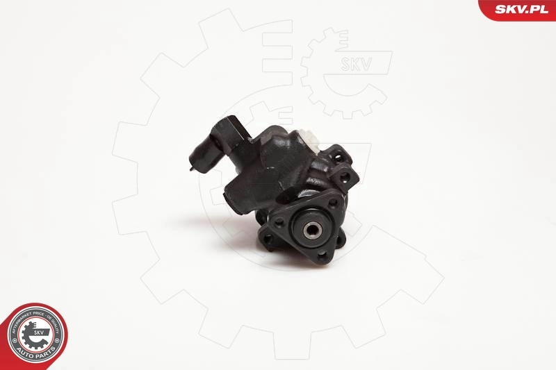 Hydraulic Pump, steering 10SKV056