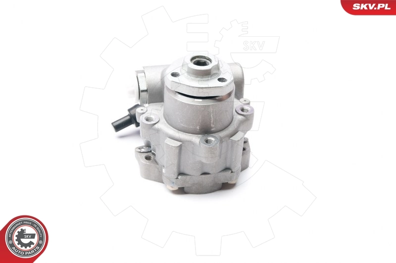 Hydraulic Pump, steering 10SKV223