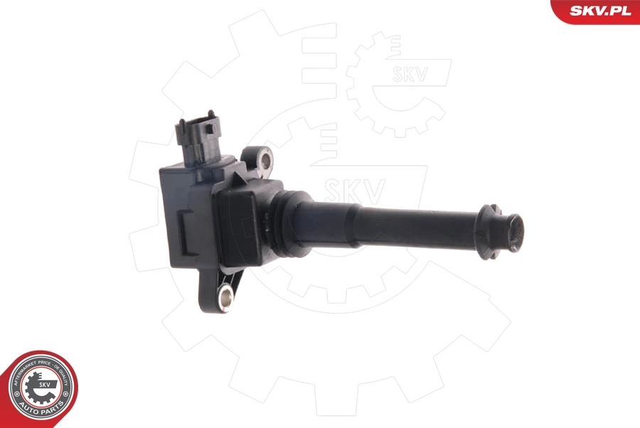Ignition Coil 03SKV011
