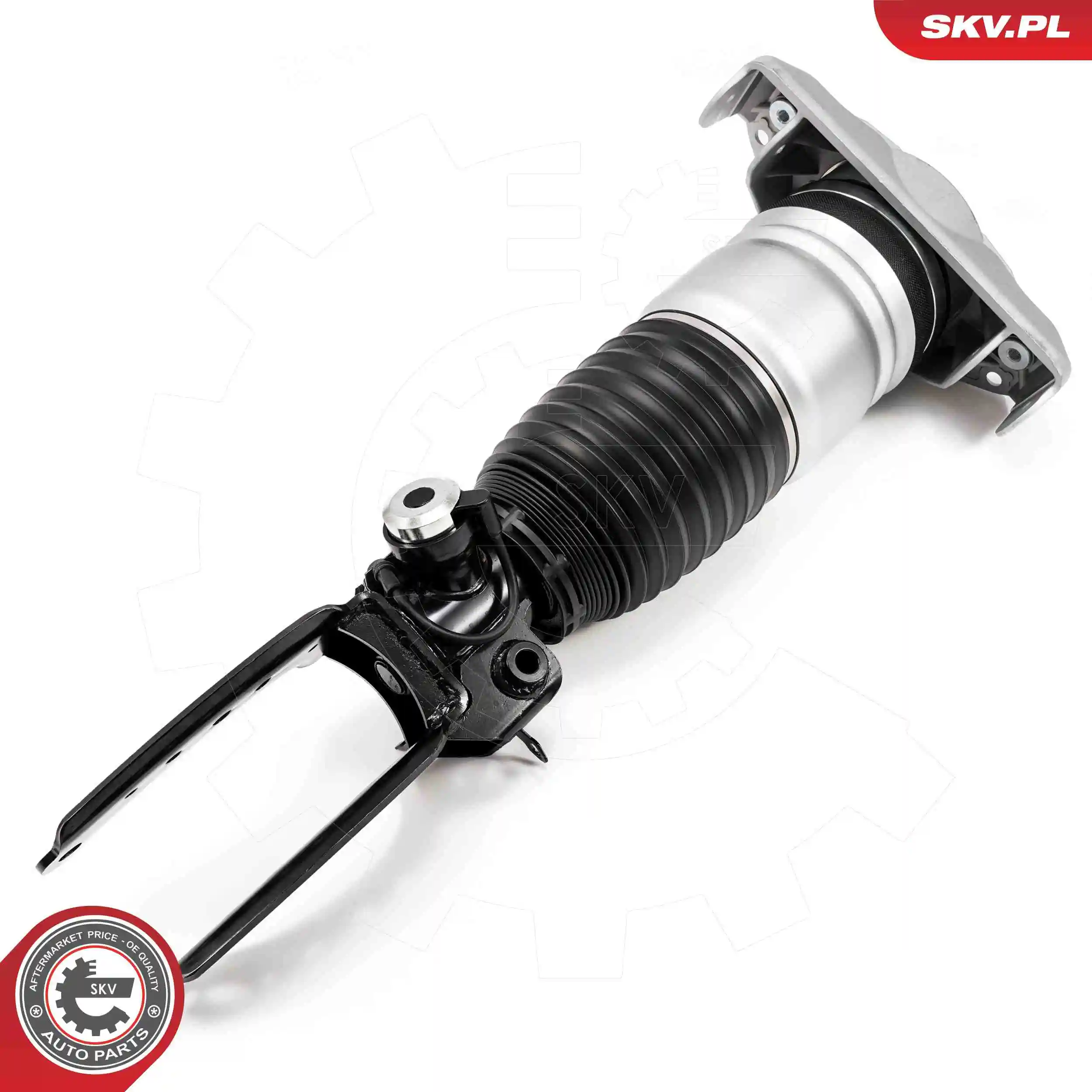 Air Suspension Strut 58SKV703