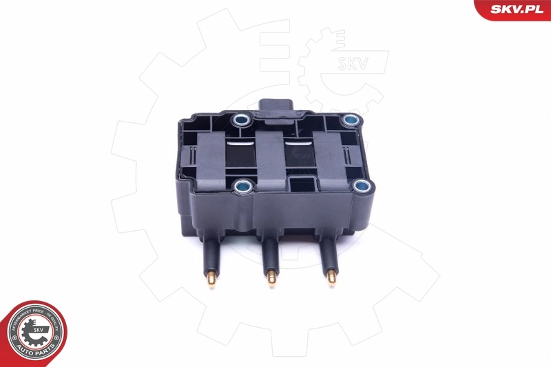 Ignition Coil 03SKV248