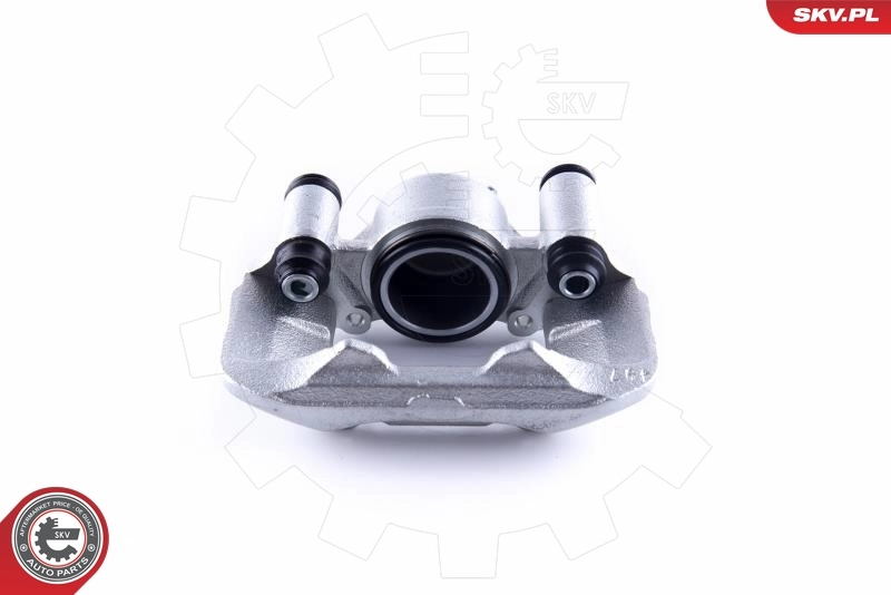 Brake Caliper 55SKV302