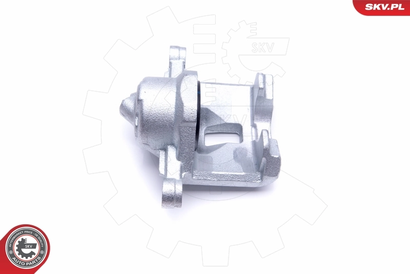 Brake Caliper 46SKV122