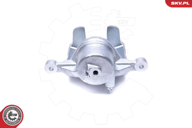 Brake Caliper 46SKV841