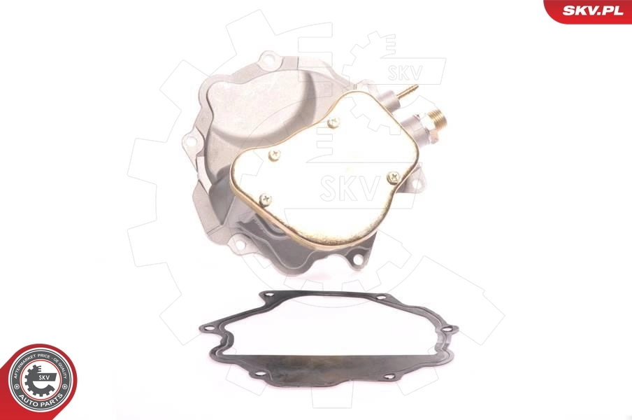 Vacuum Pump, braking system 18SKV007