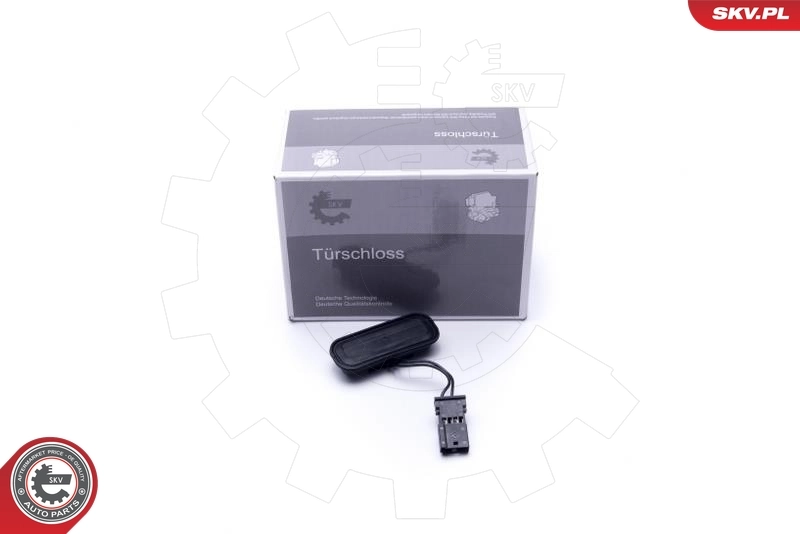 Switch, door lock system 16SKV258