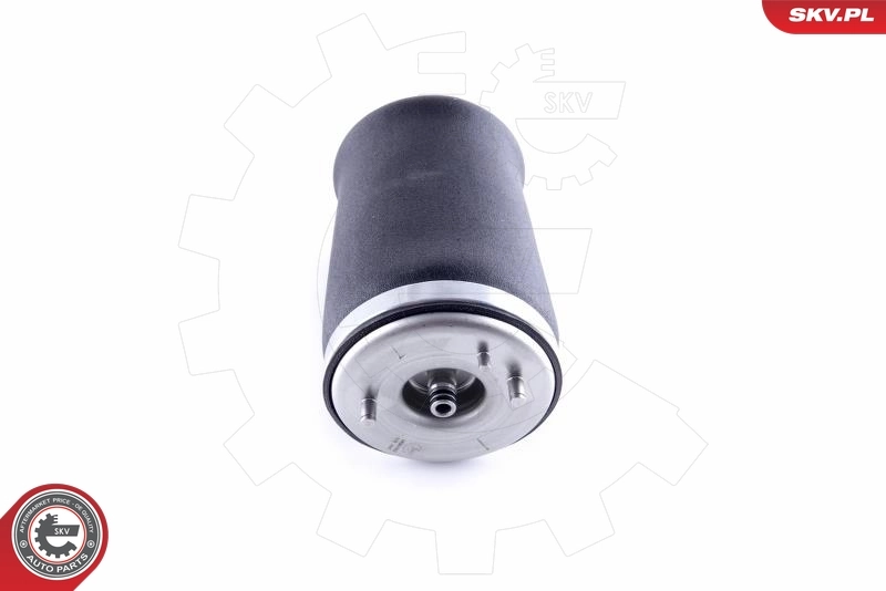 Air Spring, suspension 58SKV003