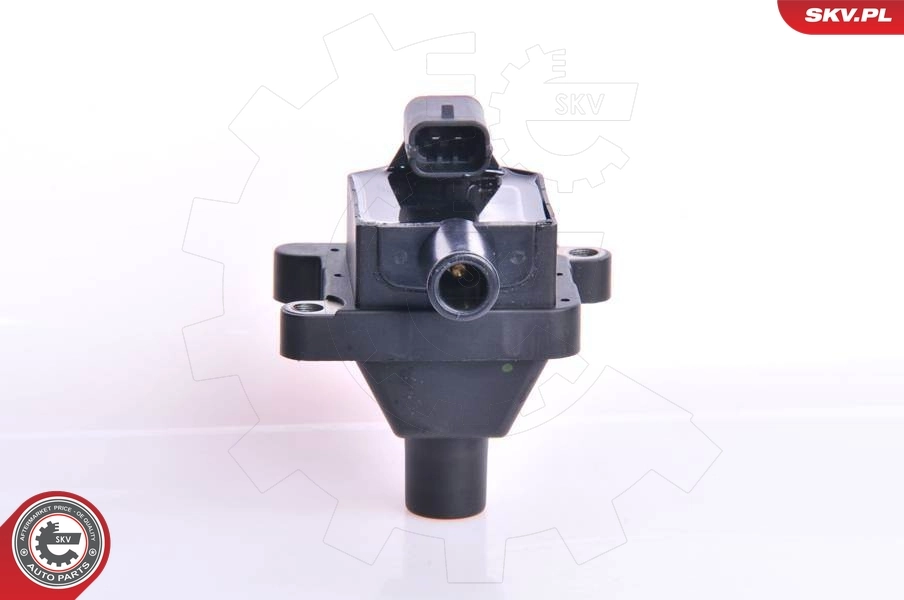 Ignition Coil 03SKV009