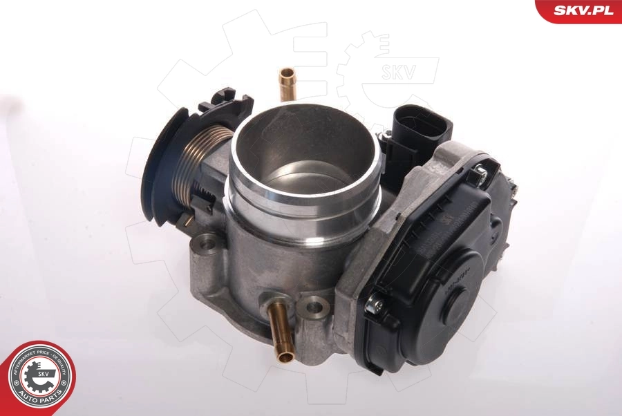 Throttle Body 12SKV020