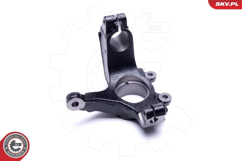 Steering Knuckle, wheel suspension 47SKV701