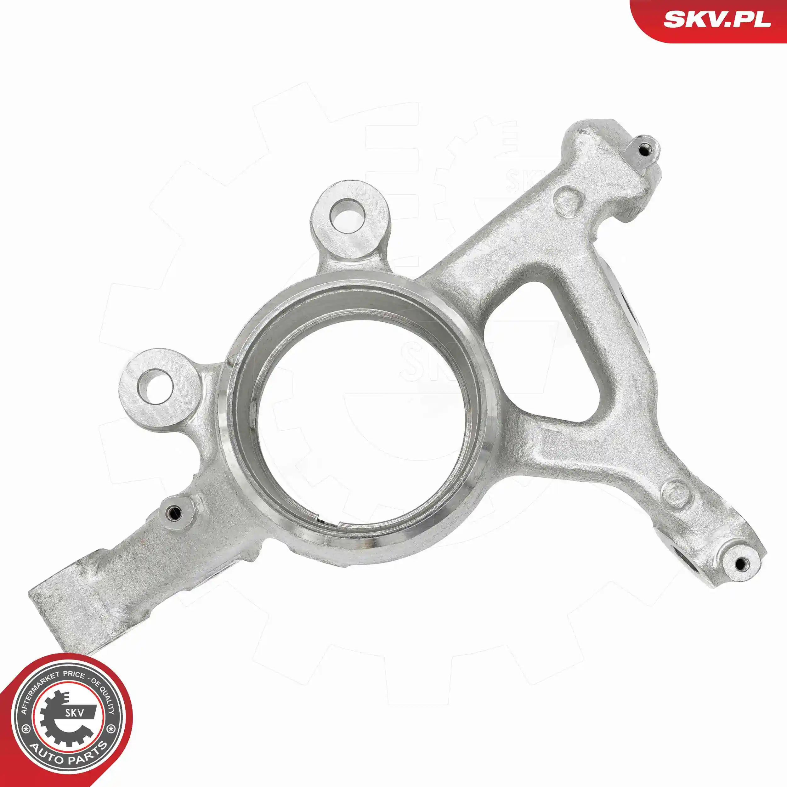 Steering Knuckle, wheel suspension 73SKV011