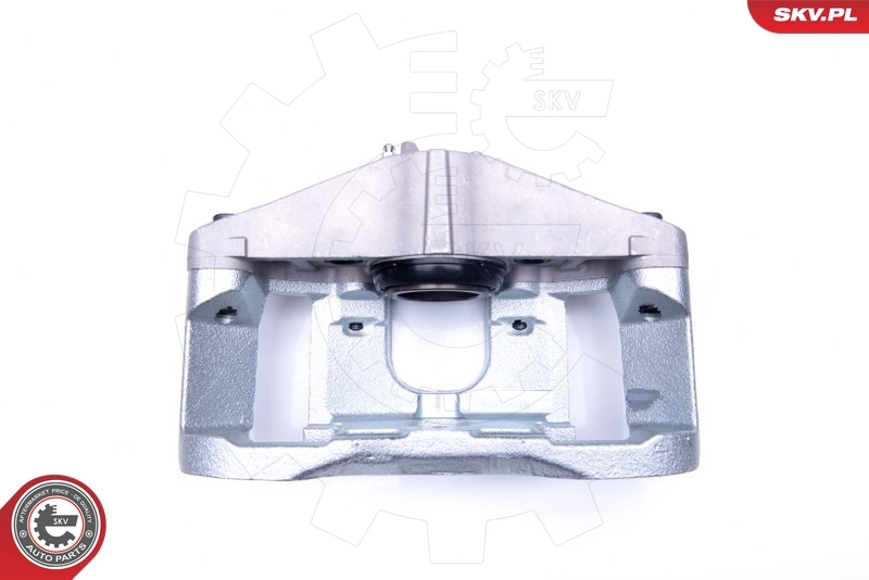 Brake Caliper 44SKV121