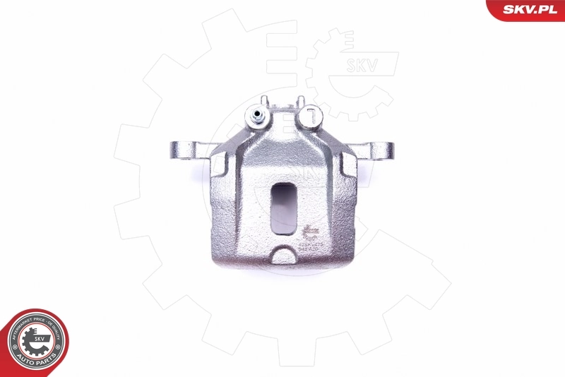 Brake Caliper 42SKV473