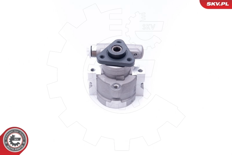 Hydraulic Pump, steering 10SKV258