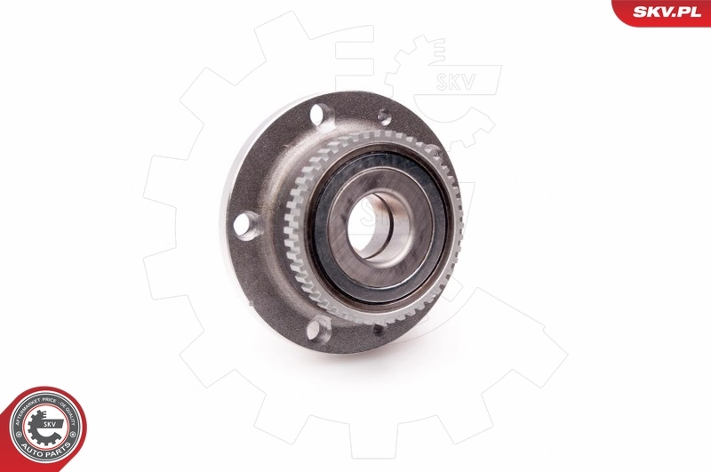 Wheel Bearing Kit 29SKV094