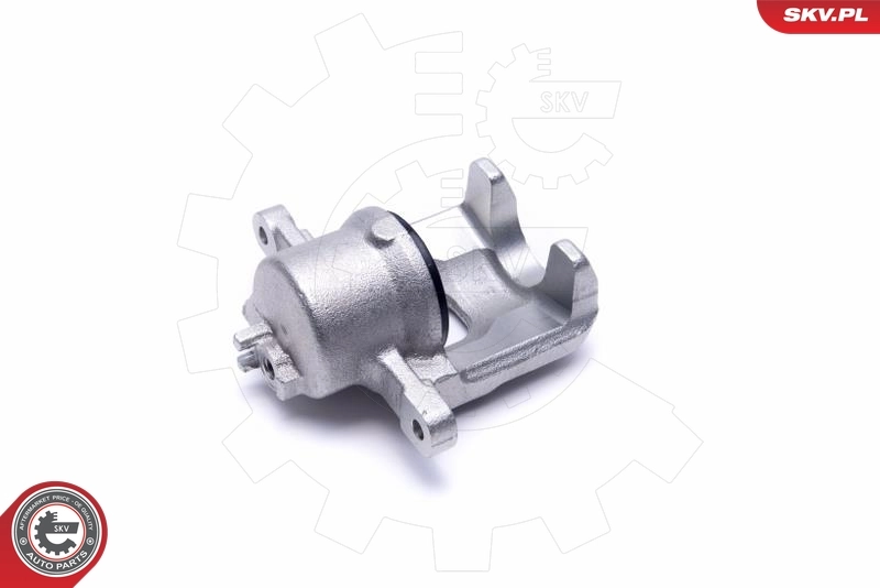 Brake Caliper 56SKV012