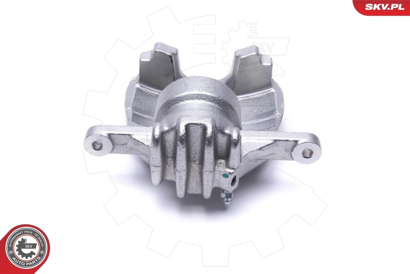 Brake Caliper 55SKV701