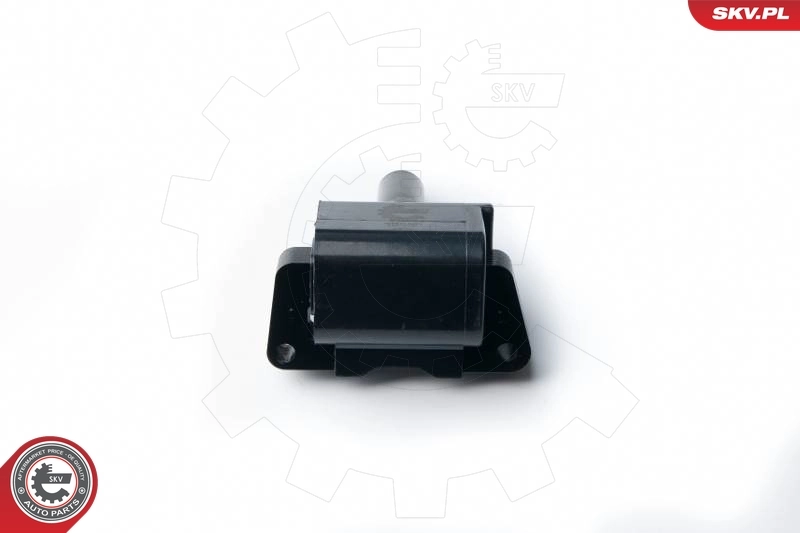 Ignition Coil 03SKV235